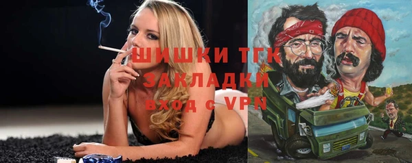 ПСИЛОЦИБИНОВЫЕ ГРИБЫ Белокуриха