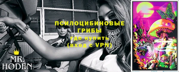 ПСИЛОЦИБИНОВЫЕ ГРИБЫ Белокуриха