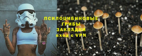 PSILOCYBIN Белоозёрский